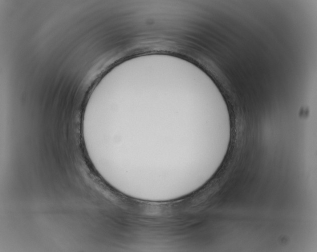 X0000113000790200910081156