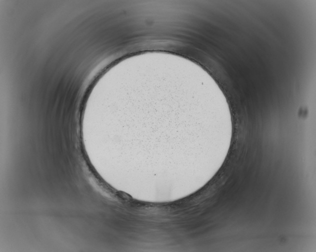 X0000113000792200910081156