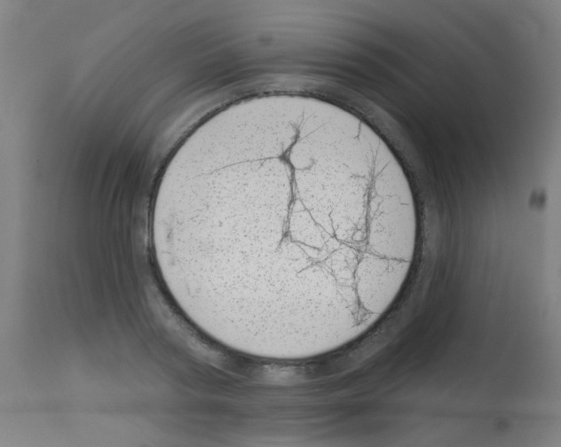 X0000113000794200910081156