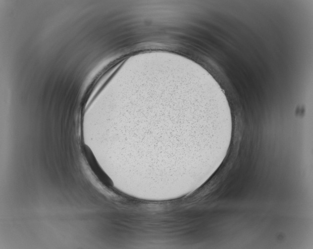 X0000113000796200910081156