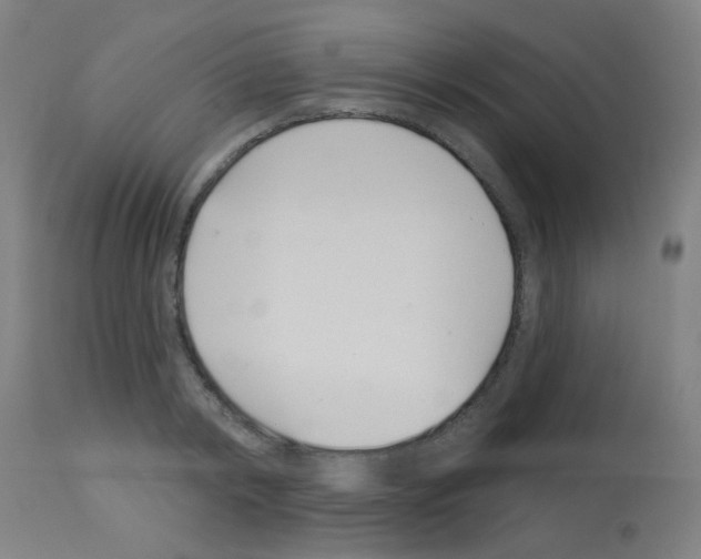 X0000113000798200910081156