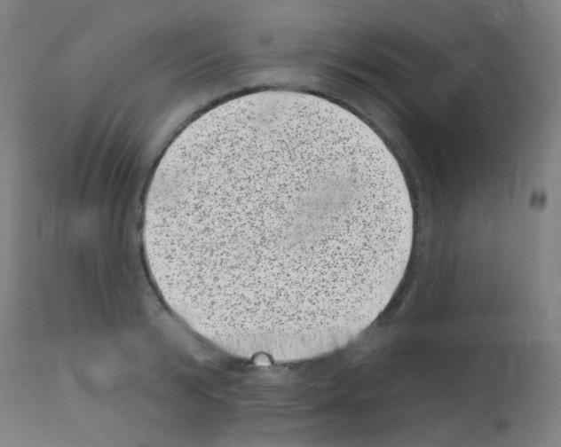 X0000113000799200910081156