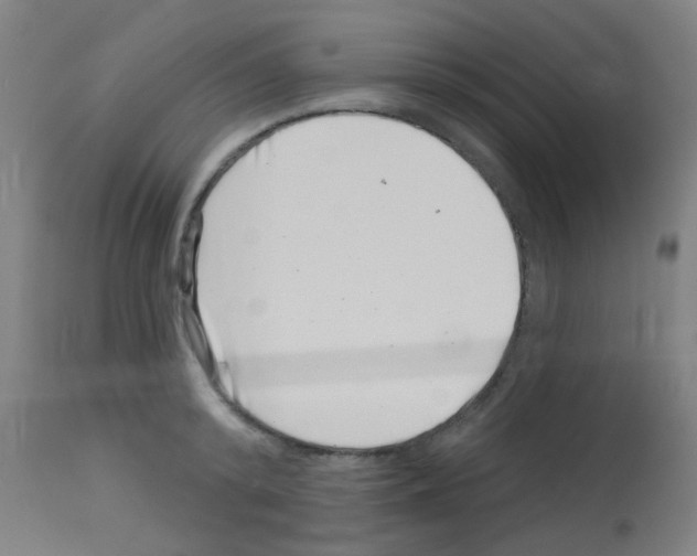 X0000113000800200910081156