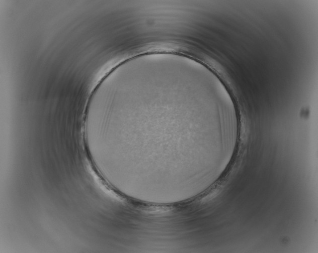 X0000113000802200910081156