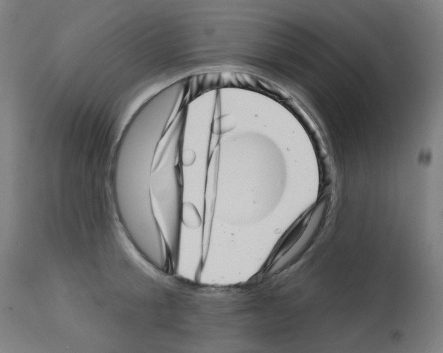 X0000113000805200910081156