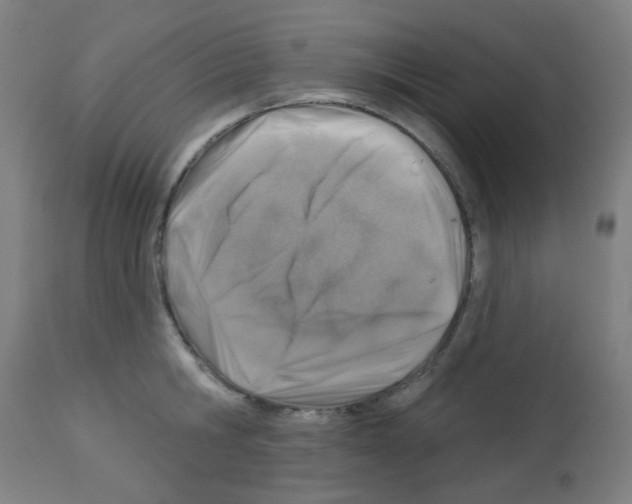 X0000113000806200910081156