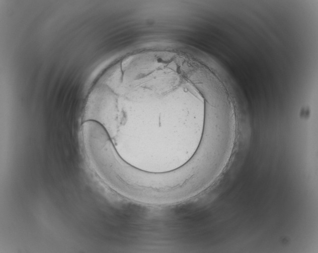 X0000113000807200910081156