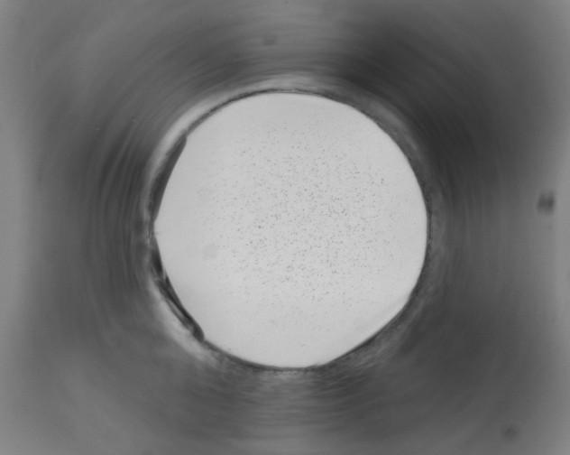 X0000113000808200910081156