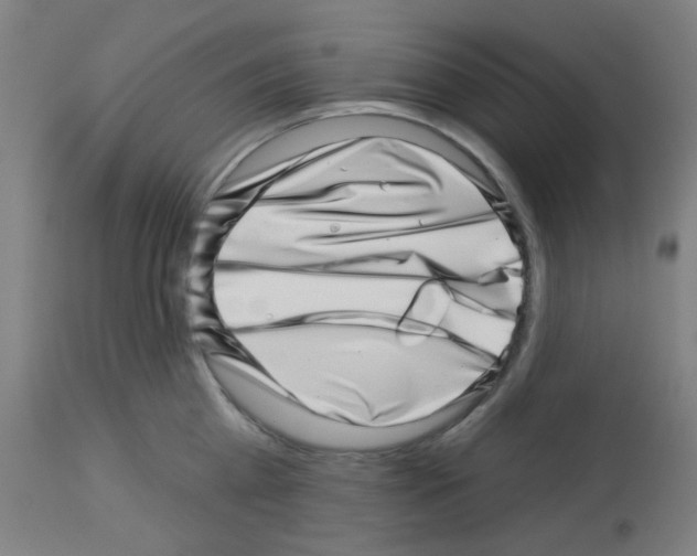 X0000113000809200910081156