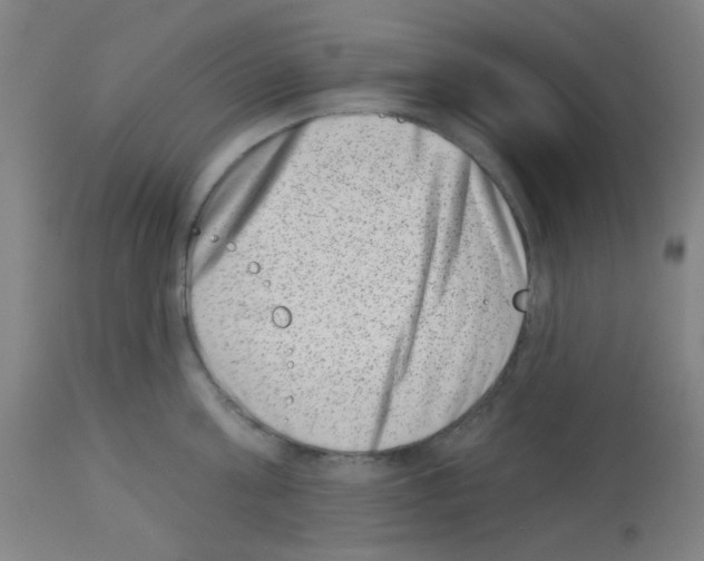 X0000113000811200910081156