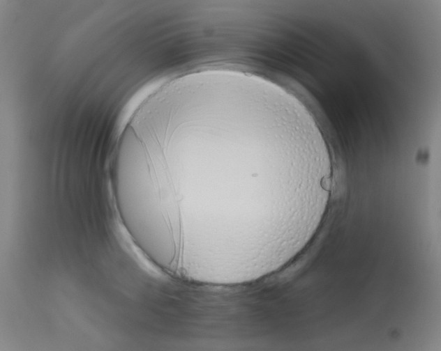 X0000113000812200910081156