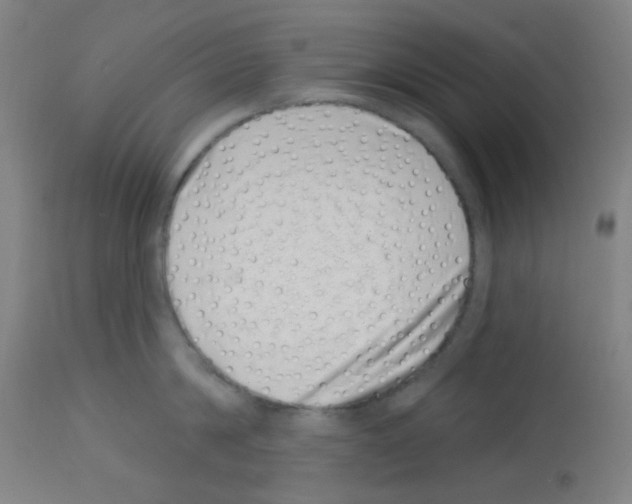 X0000113000814200910081156