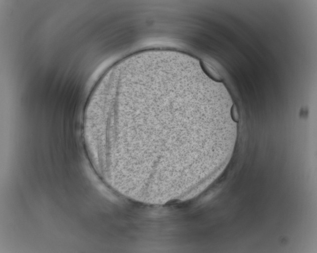 X0000113000815200910081156