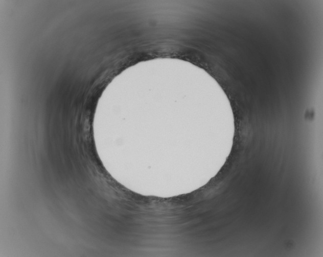 X0000113000818200910081155