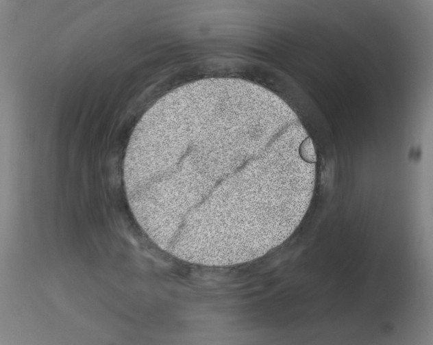 X0000113000819200910081155