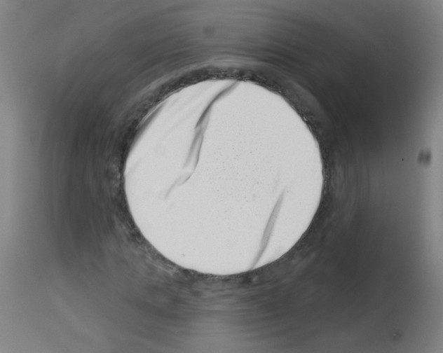 X0000113000821200910081155