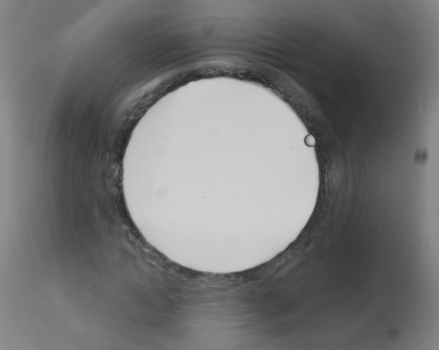 X0000113000822200910081155