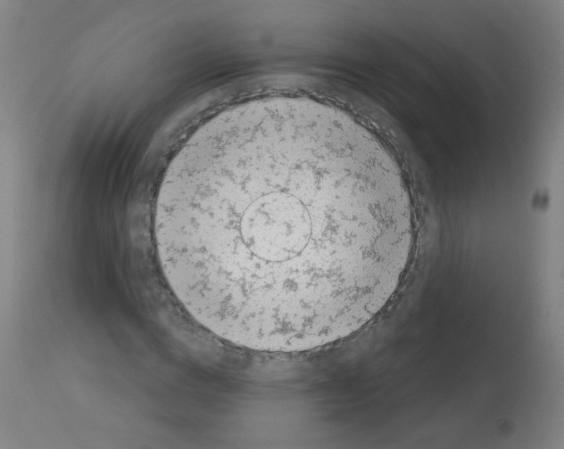 X0000113000824200910081155