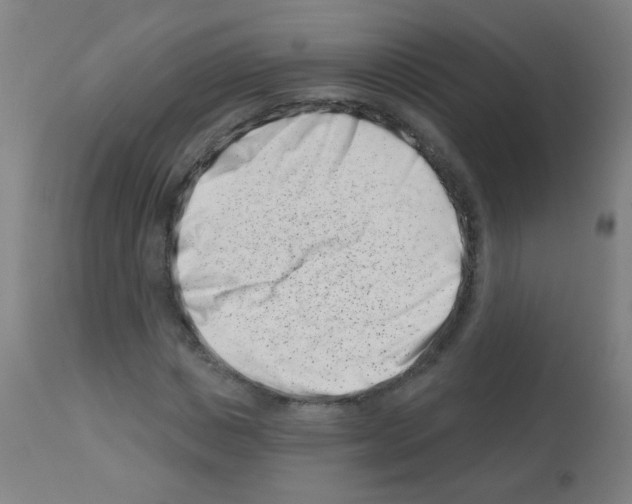 X0000113000825200910081155