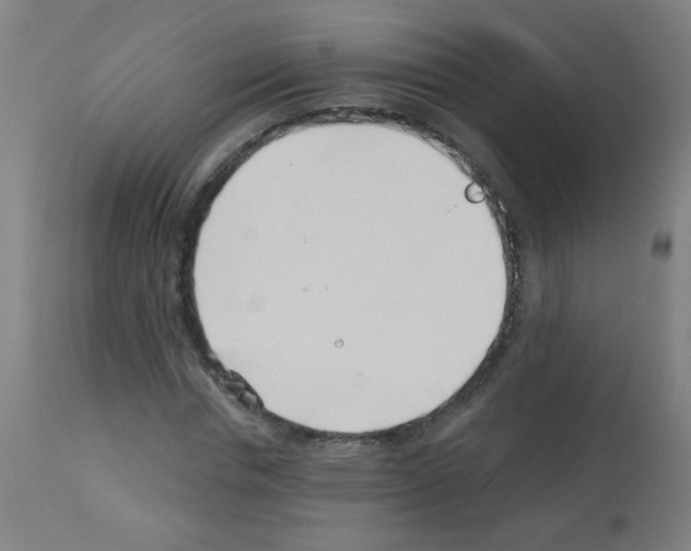 X0000113000826200910081155