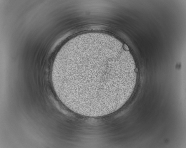 X0000113000827200910081155