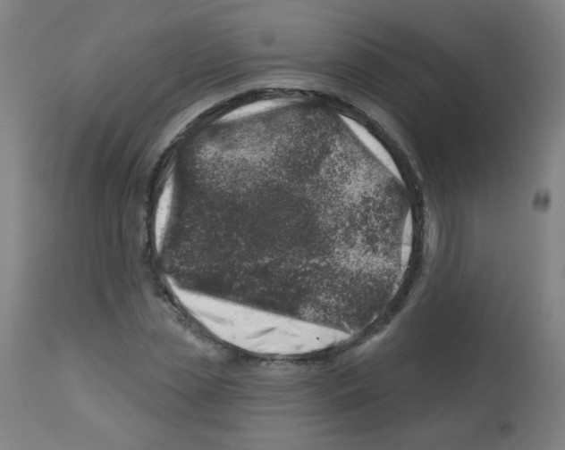 X0000113000829200910081155