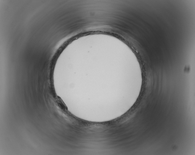 X0000113000830200910081155