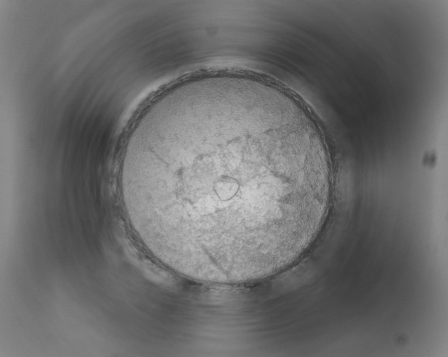 X0000113000832200910081155