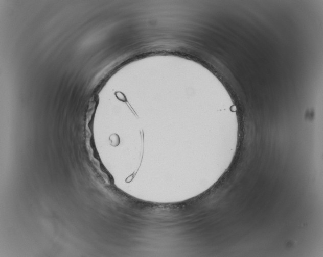 X0000113000834200910081155