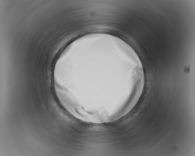 X0000113000835200910081155