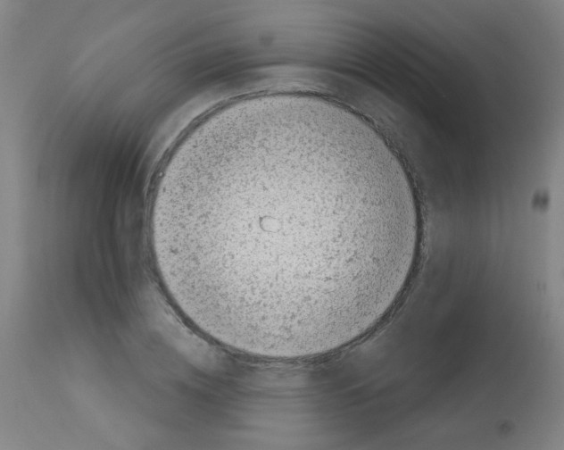 X0000113000836200910081155