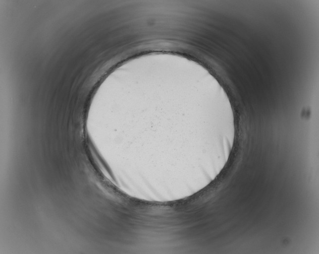 X0000113000837200910081156