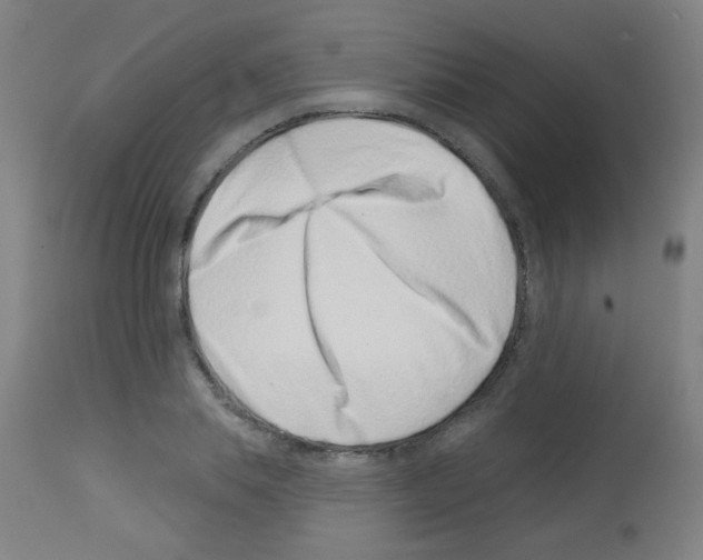 X0000113000839200910081156