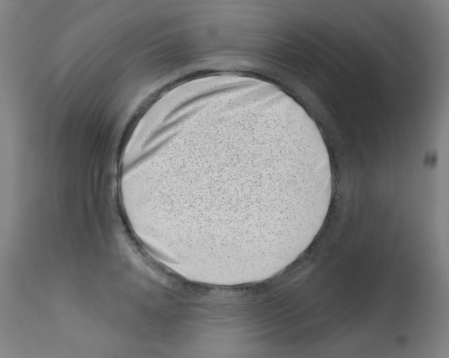 X0000113000840200910081156