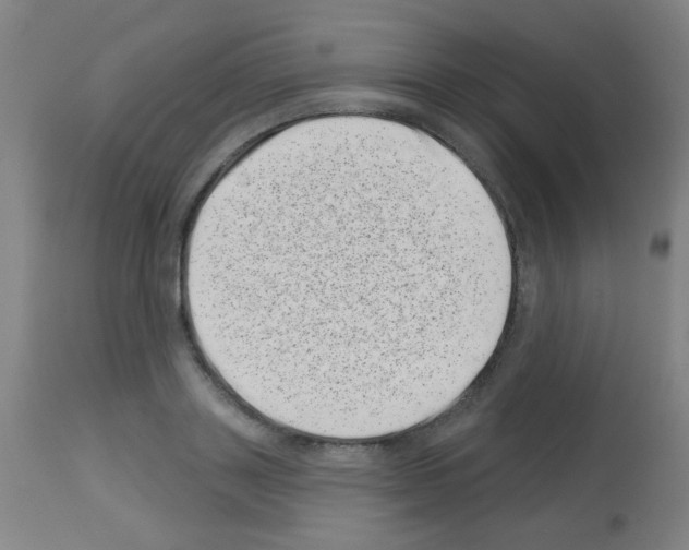 X0000113000843200910081156