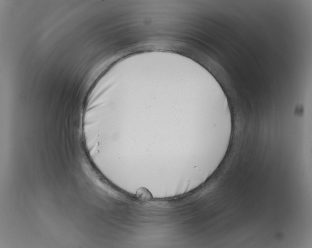 X0000113000844200910081156