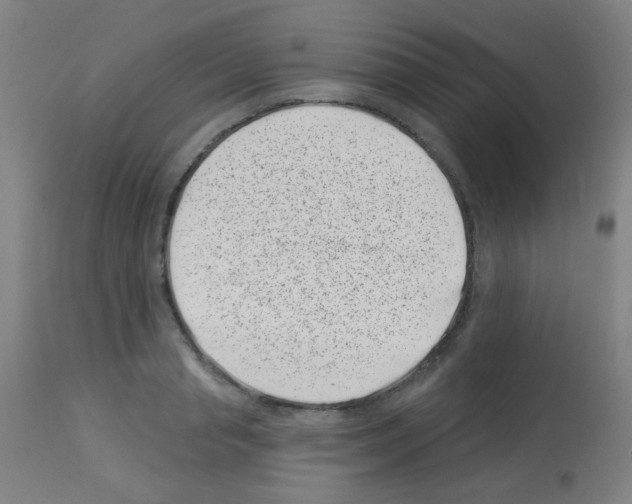 X0000113000845200910081156