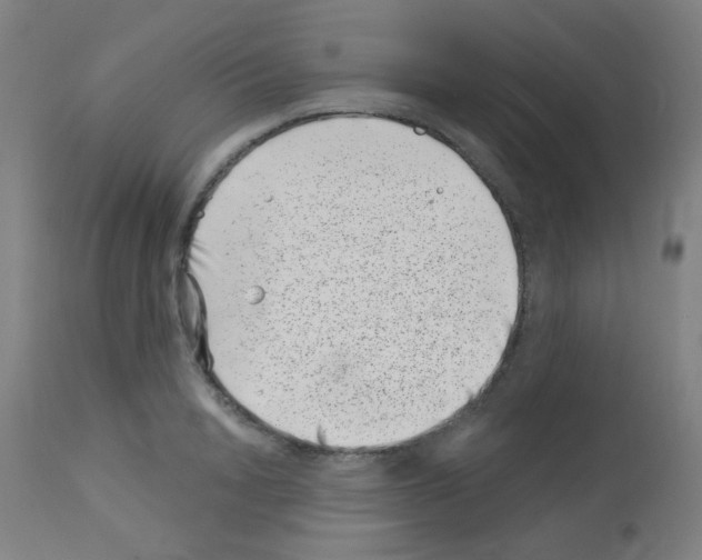 X0000113000846200910081156