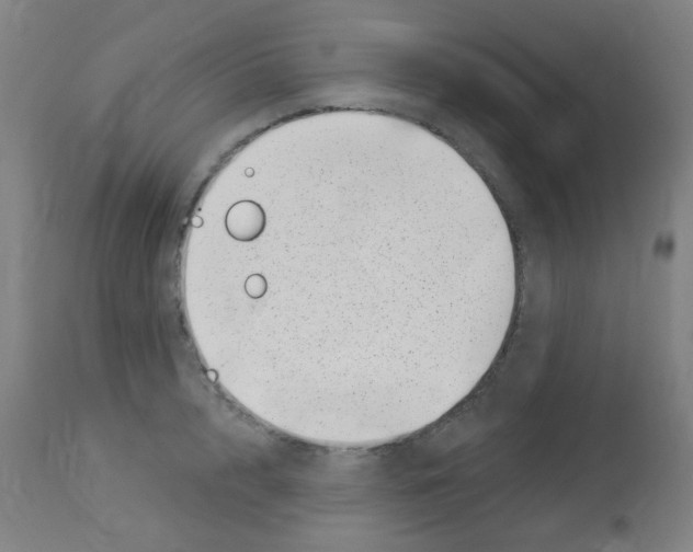 X0000113000848200910081156