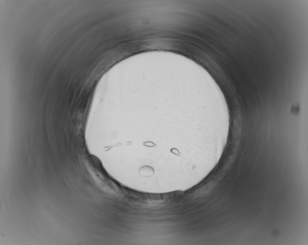 X0000113000849200910081156