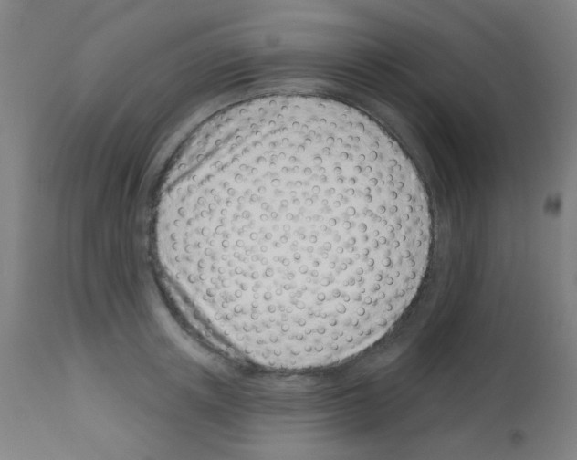 X0000113000851200910081156