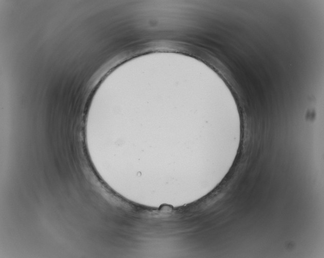 X0000113000853200910081156