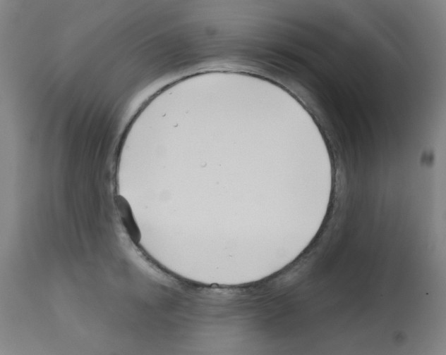 X0000113000854200910081156