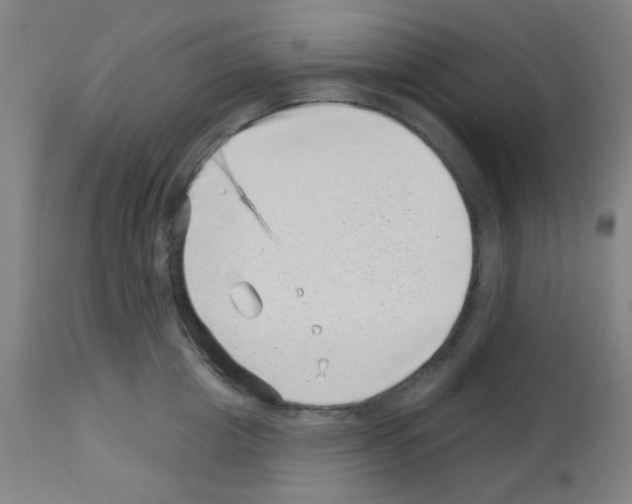 X0000113000857200910081156