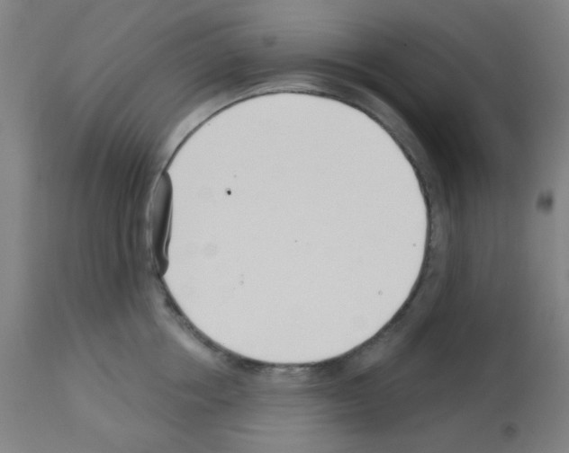 X0000113000858200910081156