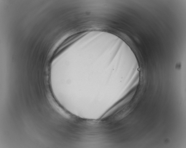 X0000113000859200910081156