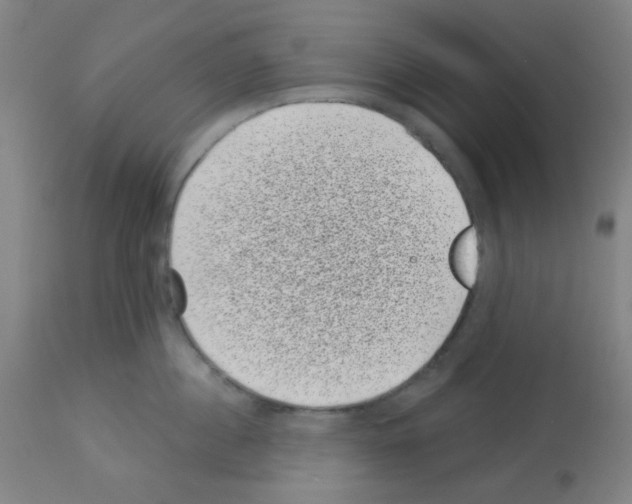 X0000113000860200910081156