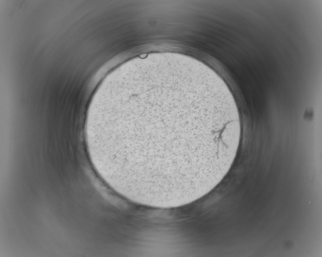 X0000113000861200910081156