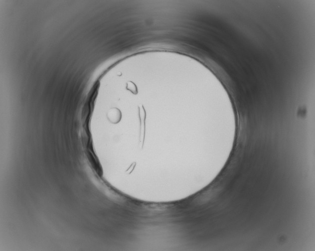 X0000113000862200910081156