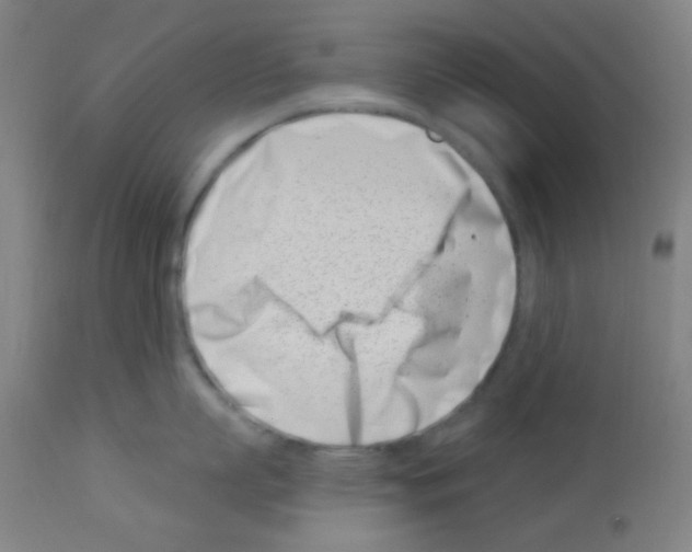 X0000113000863200910081156